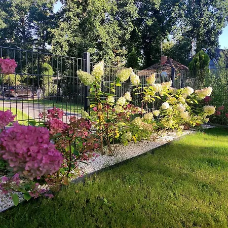 Apartamento A Comfortable With A Garden For 2 People *